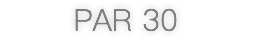 PAR 30