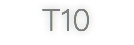 T10