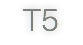 T5